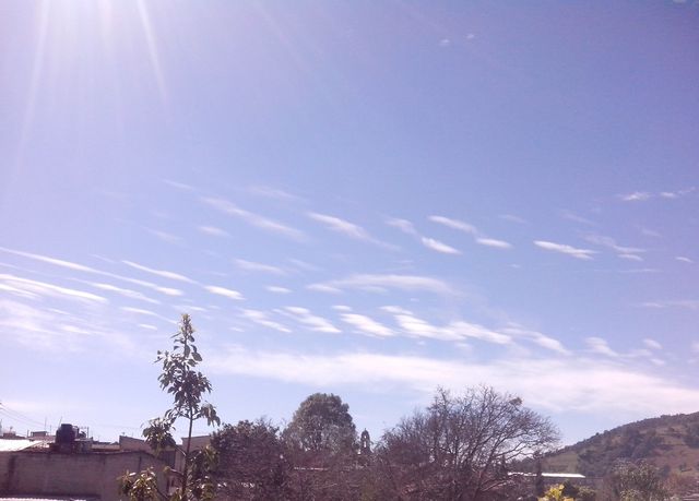 -Cielo3... nov2014- (28-nov-2014) Foto: GOF
Hora: 11:50
Vista: Hacia el Sur

Un día frío en todo el país,...por fortuna por acá el sol salió pronto.