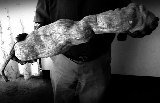 Ningún -raizota- (11 feb 2015) 
Pesó cuatro kilos y medio y midió 60 cm, una de las raíces de chayote más grandes que he visto.
nombre