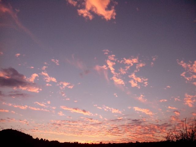 -Cielo1...enero2015- (09enero2015) 
Hora: 18:21
Vista: Hacia el Suroeste

Unas nubes como algodones rosas, este atardecer...