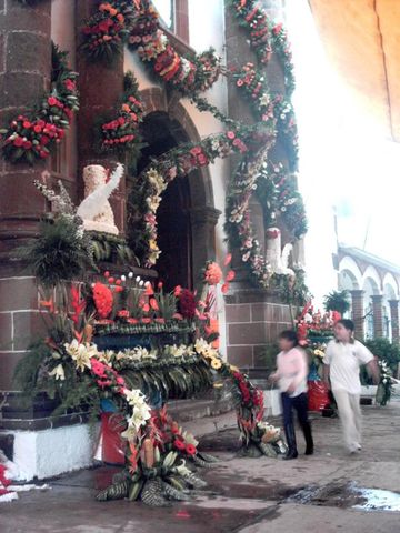 Portada Floral (25-junio-2011)