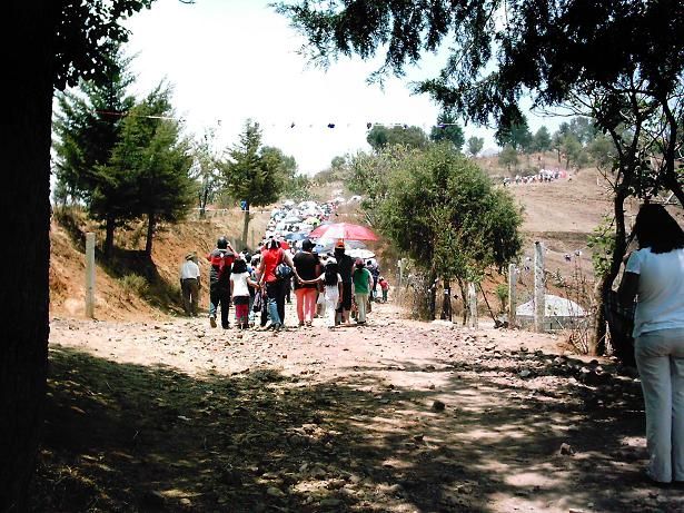sombrita (22-abril-2011)
