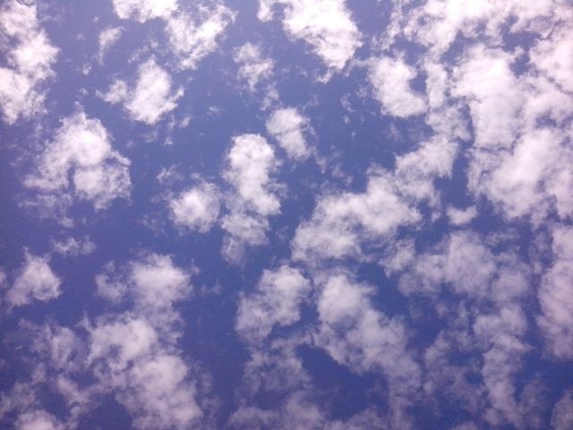 -Cielo2...feb2015- (2 febrero2015) 
Hora: 9:55
Vista: Hacia Arriba
Así amaneció, con un cielo que me parece muy expresivo.