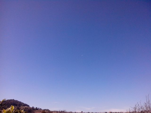 -Cielo3...enero2015- (13enero2015) 
Hora: 11:03
Vista: Hacia el Suroeste

Y hoy tenemos un gran cielo azul...