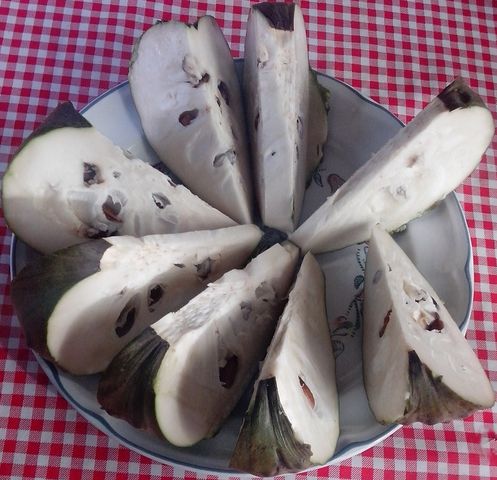-La Chirimoya- (26-ene-2014) 
La chirimoya se da muy bien en el pueblo, ésta pesó 1 kg con 600 gramos.
Hace rato sirvió de postre a la comida dominical... y estuvo, indescriptiblemente exquisita.