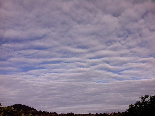 -Cielo1mayo2014- (29-mayo-2014) 
Hora: 8:19
Vista: Hacia el Suroeste

Así son las mañanas de finales de mayo.