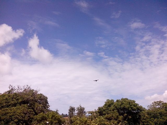-Cielo1junio2014- (04-junio-2014) Hora: 10:27
Vista: Hacia el Suroeste

Así se muestra la primavera, con los nogales verdes como sólo en esta época del año.
