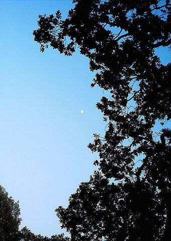 Luna en cuarto creciente (24-oct-2012)